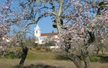 Yogaferien zur traumhaften Algarve Mandelblüte