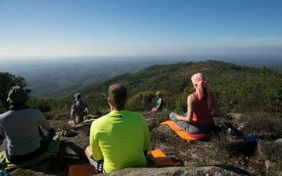 Fotos: Yoga in der Natur (mit Zitaten)