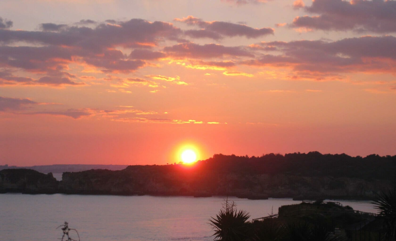 Algarve Natur im Sonnenuntergang