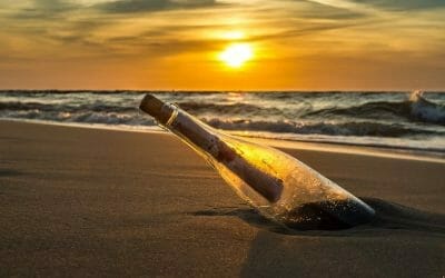 Newsletter Aug 18: Yoga und Reiten, Yoga Urlaub 2019!