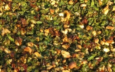 Vegane Pizza – leckere Rezepte von Steffi!