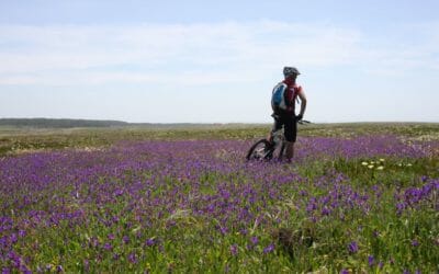 Newsletter Sept.`19: Yoga und E-Mountainbiken, Yoga Urlaub 2020